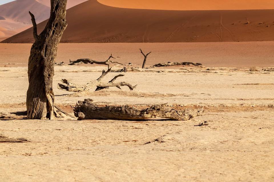 Namibie