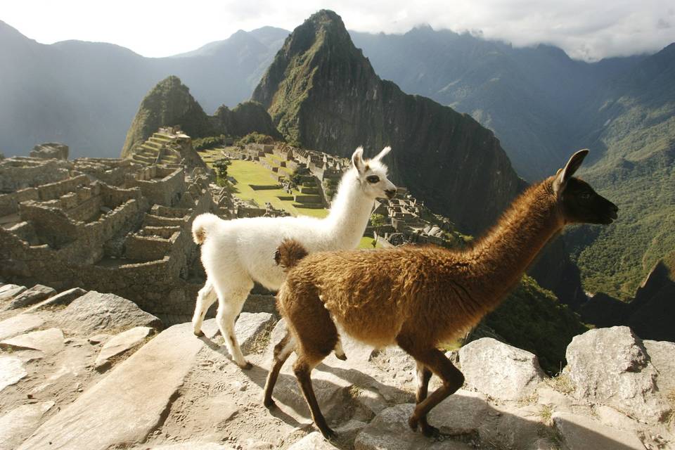 Pérou - Machu Picchu