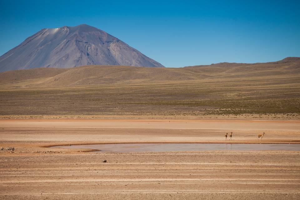 Pérou - Aguada Blanca