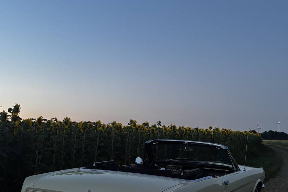 1965