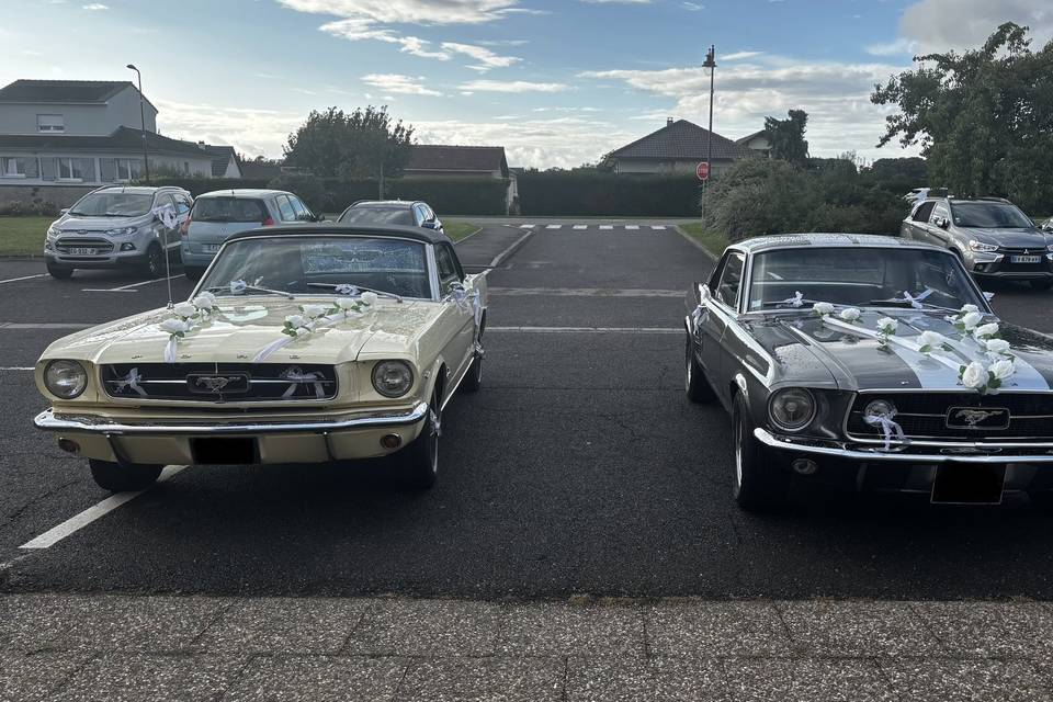 1965