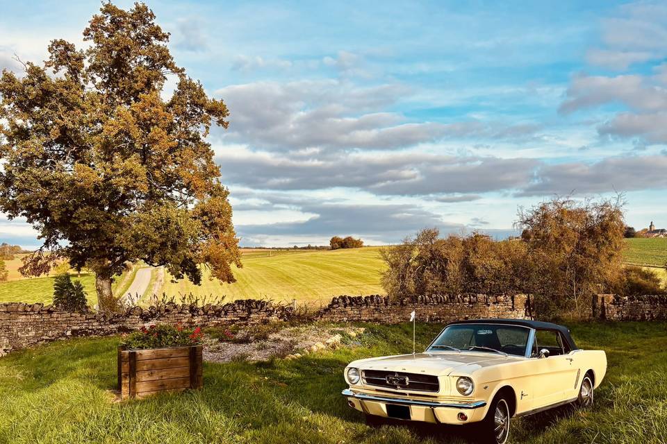 Mustang 1965
