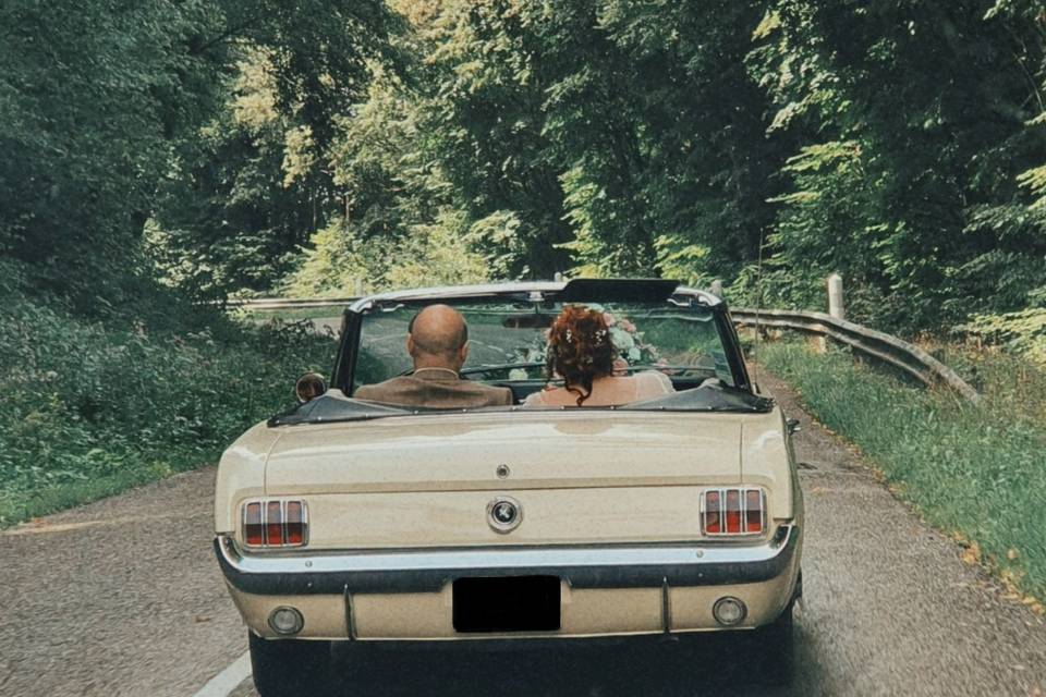 1965