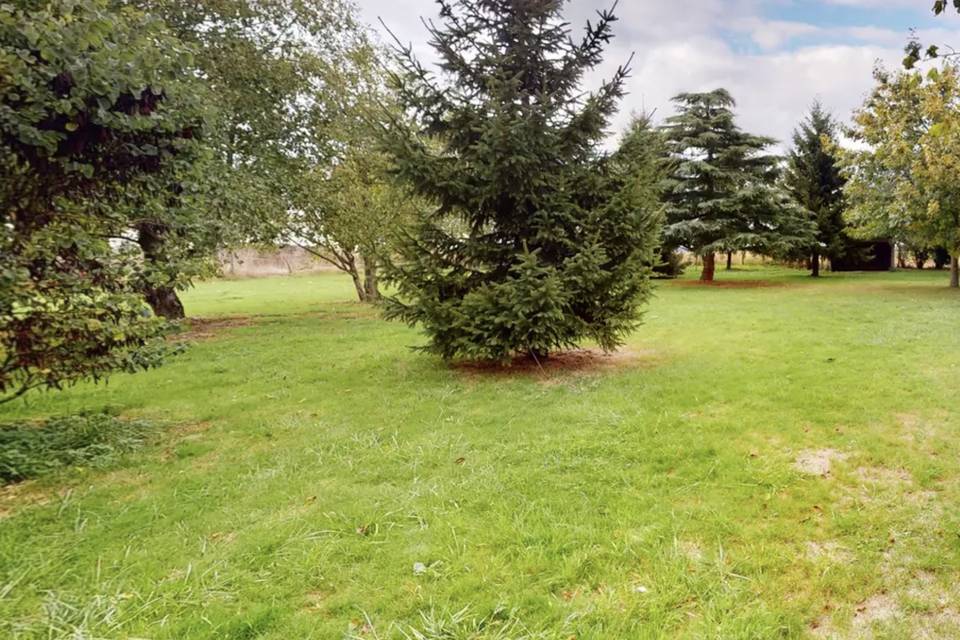 L'écrin de verdure parc arboré