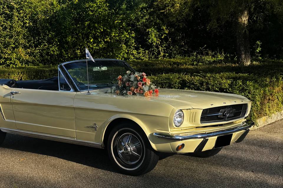 1965