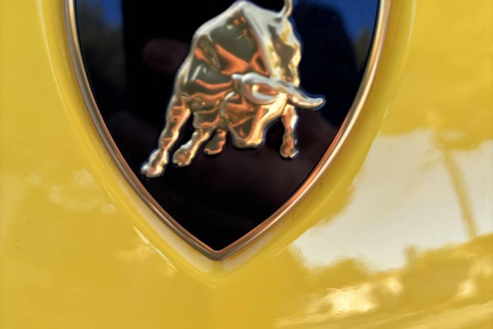 Lamborghini Urus Mariage 💒 11