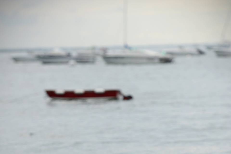 Cap ferret couple