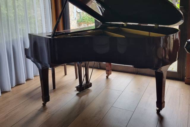 Salon - Piano à disposition