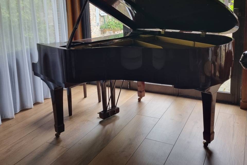 Salon - Piano à disposition