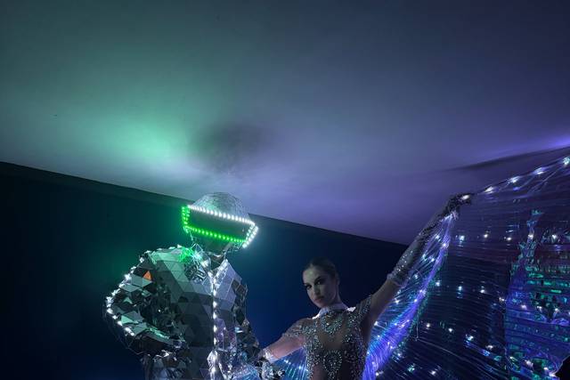 Echassiers LED