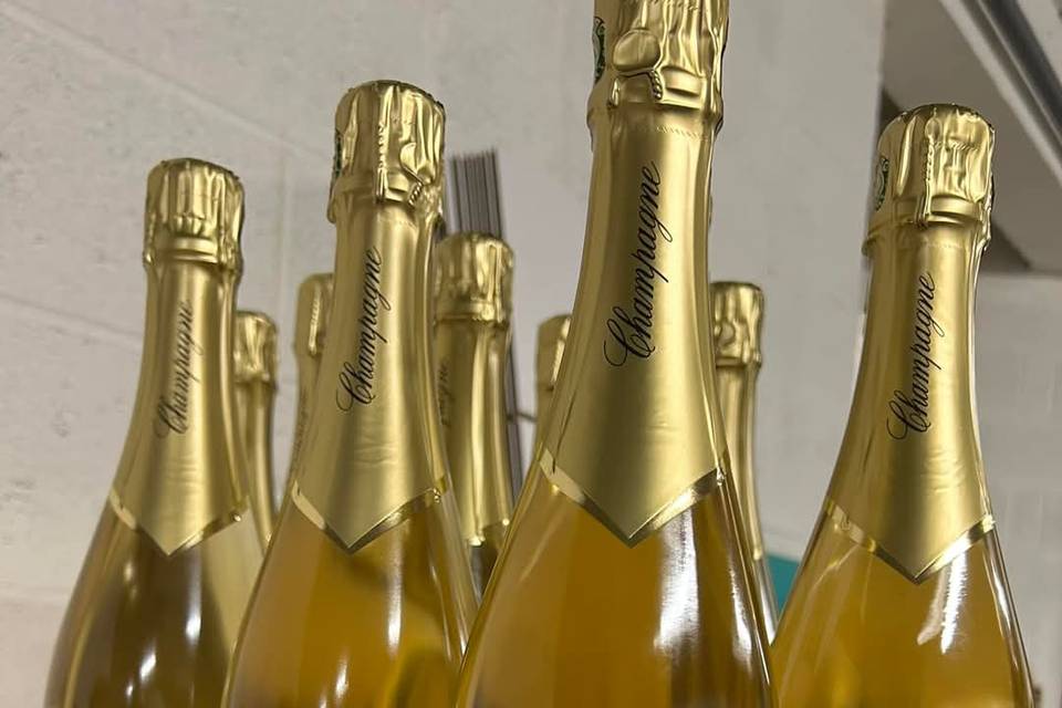 Cépage blanc