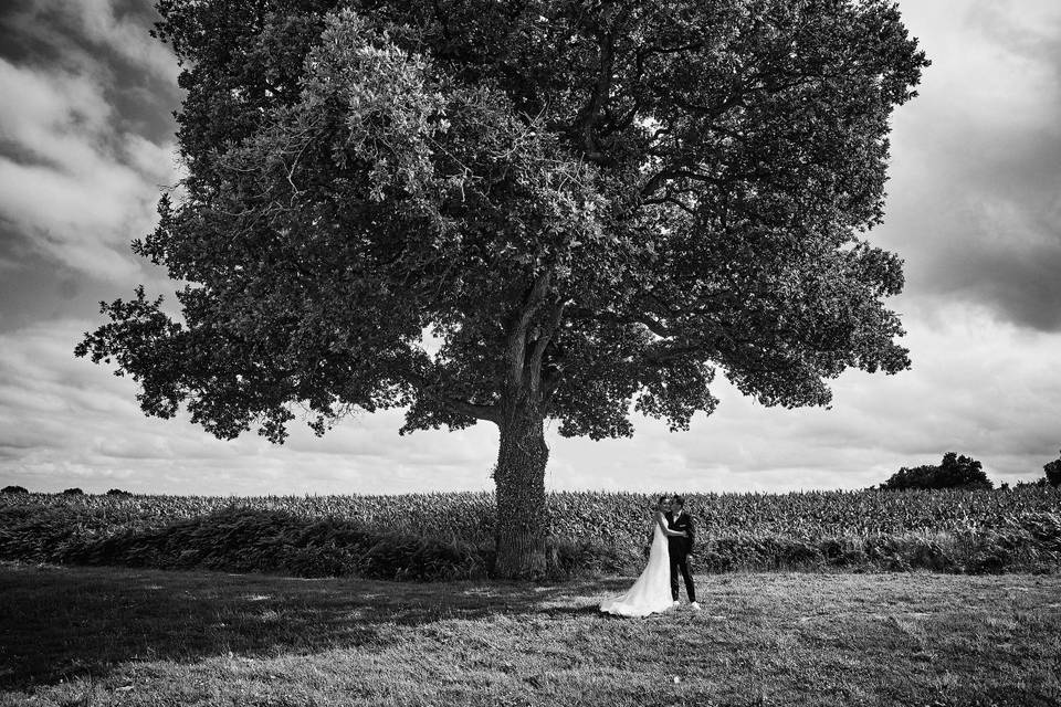 à l'ombre des arbres