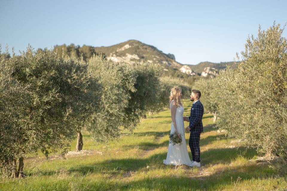 Mariage dans les alpilles