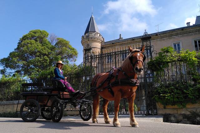 Les Chevaux de L'Uzège
