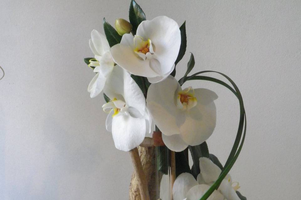 Decor orchidée
