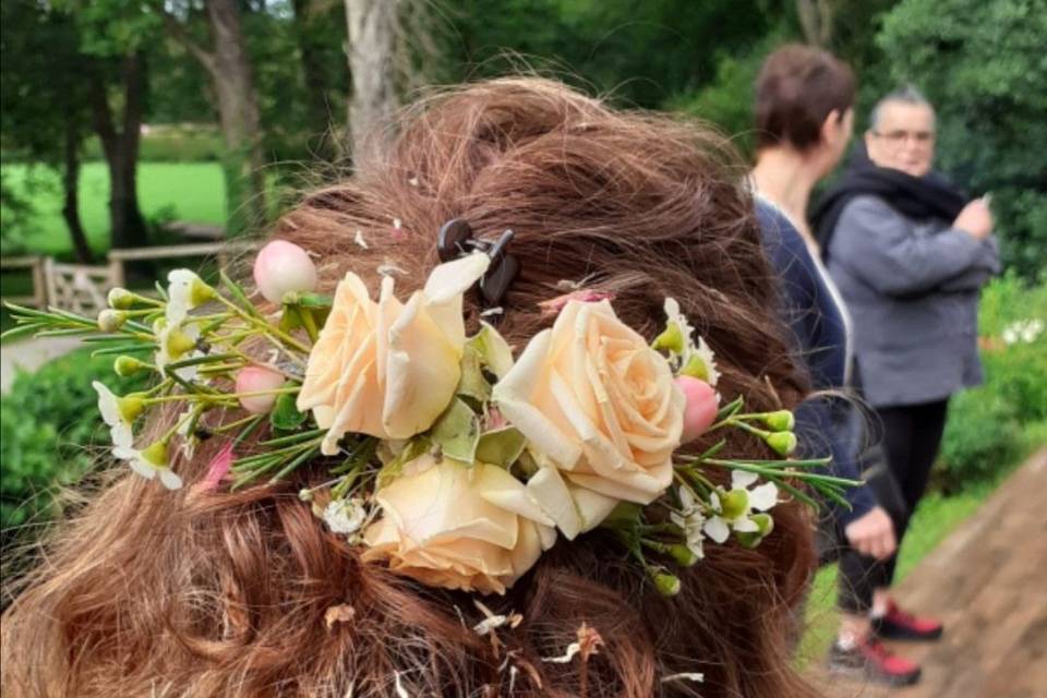 Bijoux de cheveux