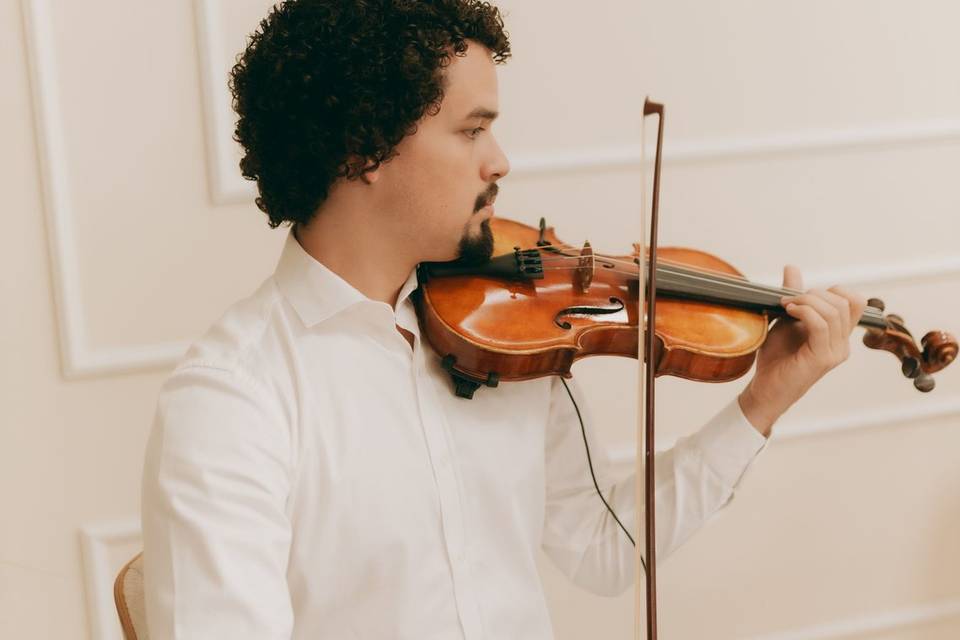 Prestation Violonniste