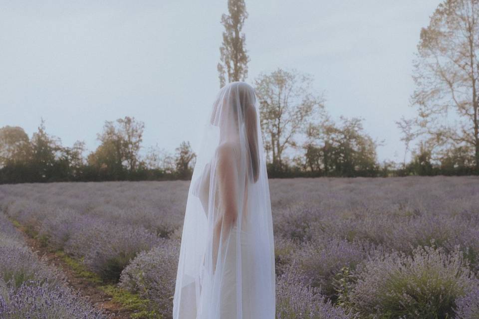 Mariée dans la lavande