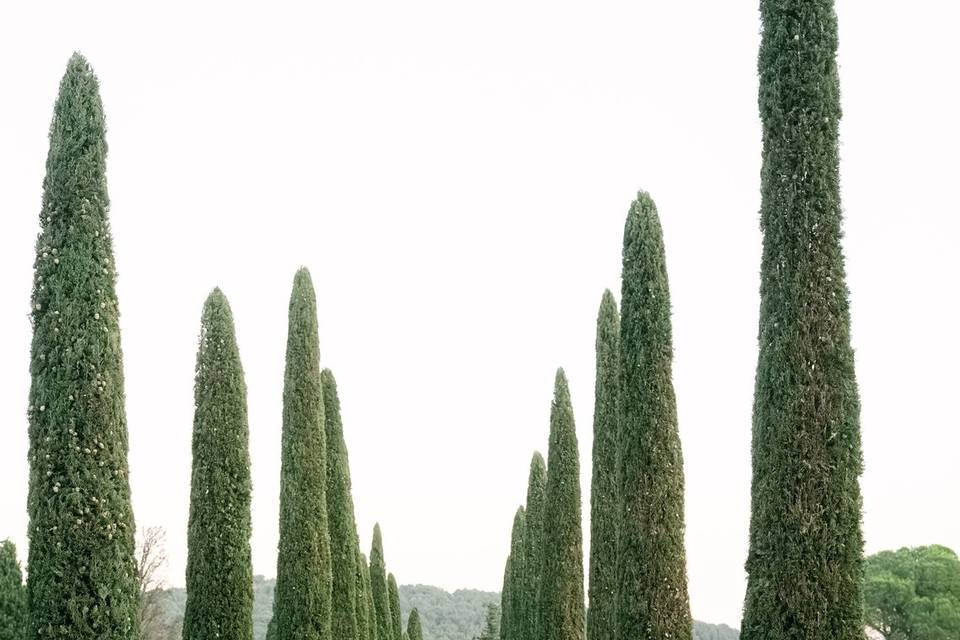 Allée royale