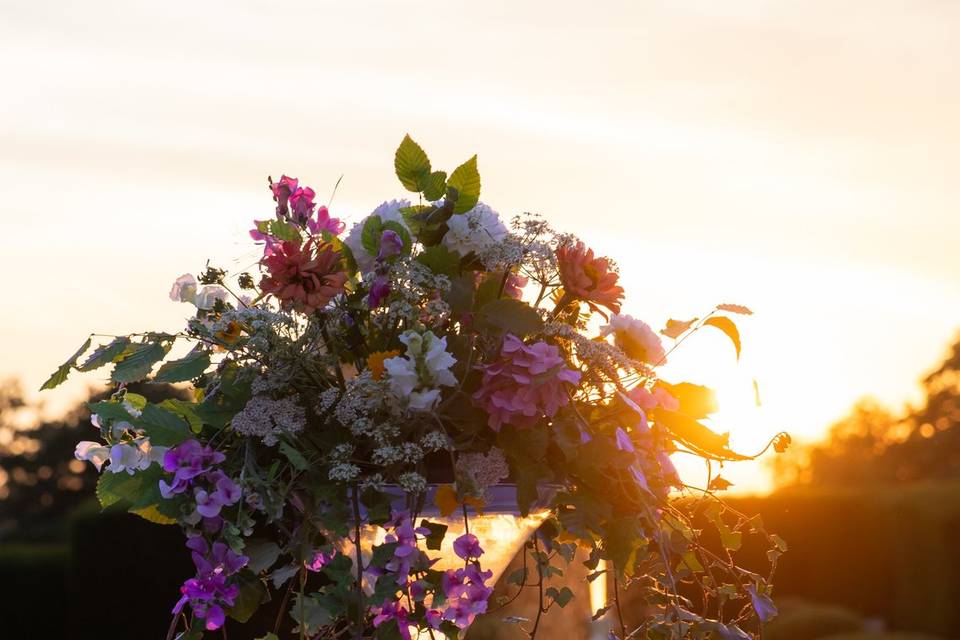 Le champ des fleurs