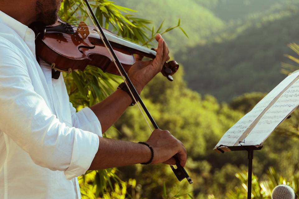 Notre violoniste préféré