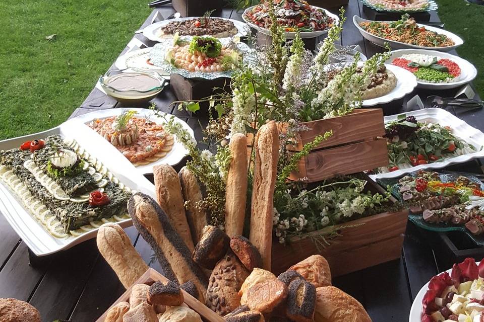 Ô fil des Cèdres