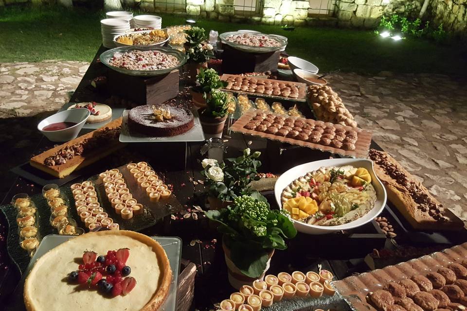 Ô fil des Cèdres