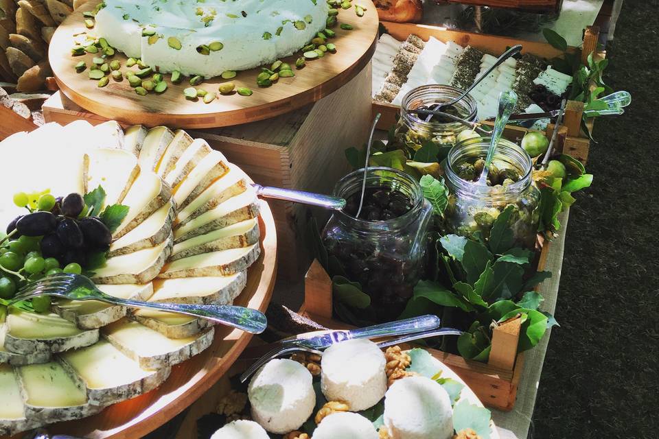 Ô fil des Cèdres