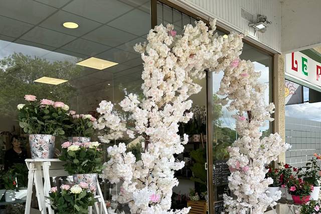 Arche fleurs