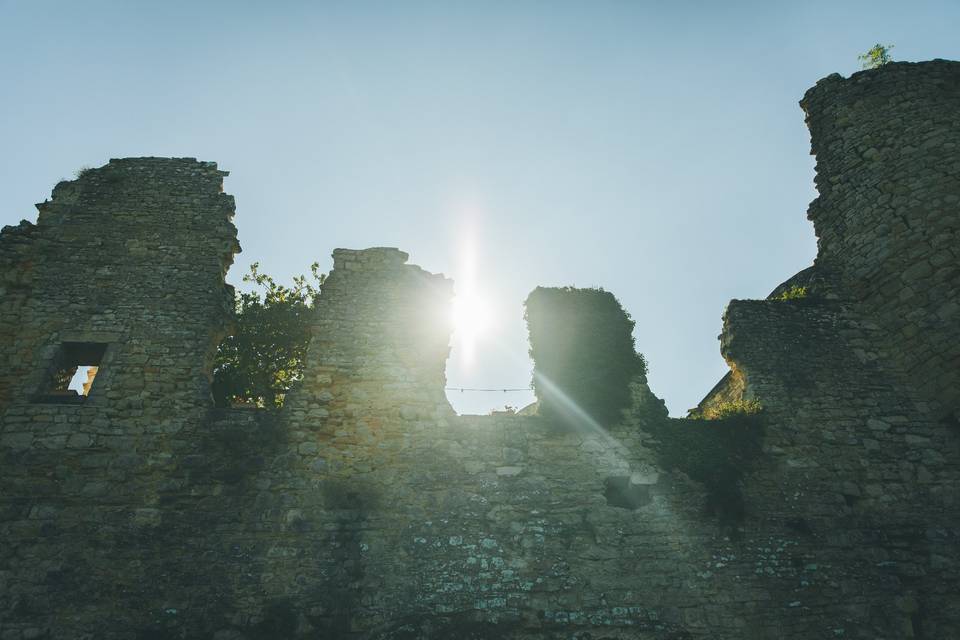 Château de Roussillon