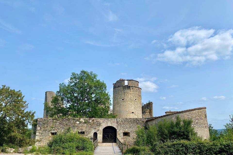 Château de Roussillon