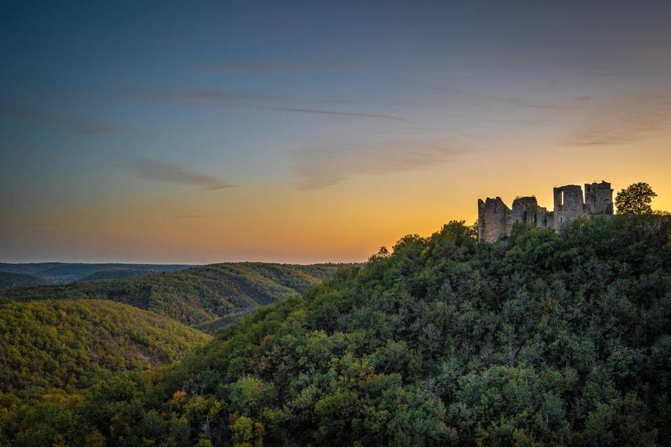 Château de Roussillon