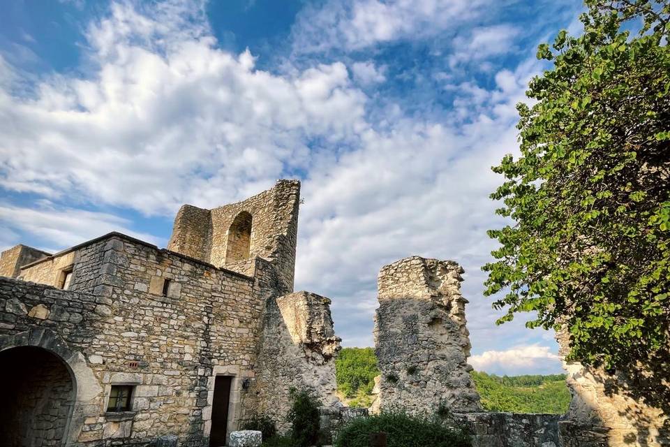 Château de Roussillon