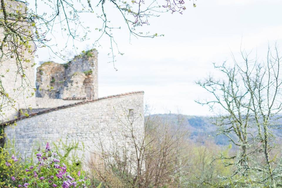 Château de Roussillon