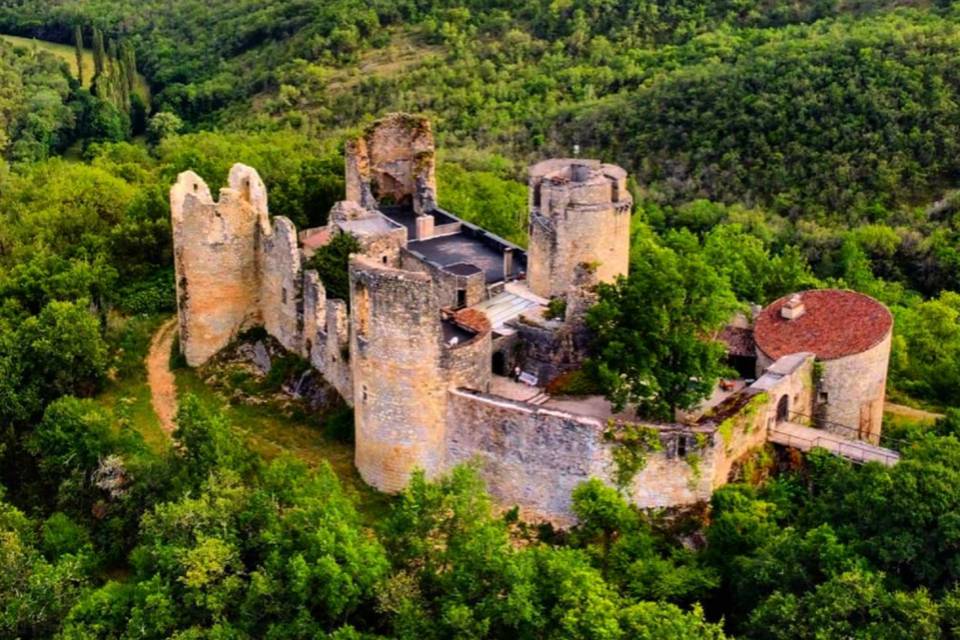 Château de Roussillon