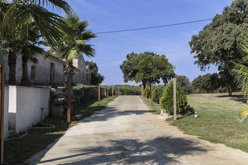 Chemin direction le parking