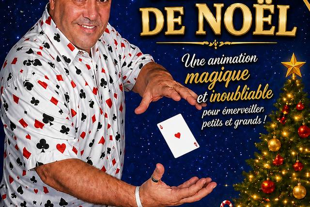 Magicien Arbre de Noël