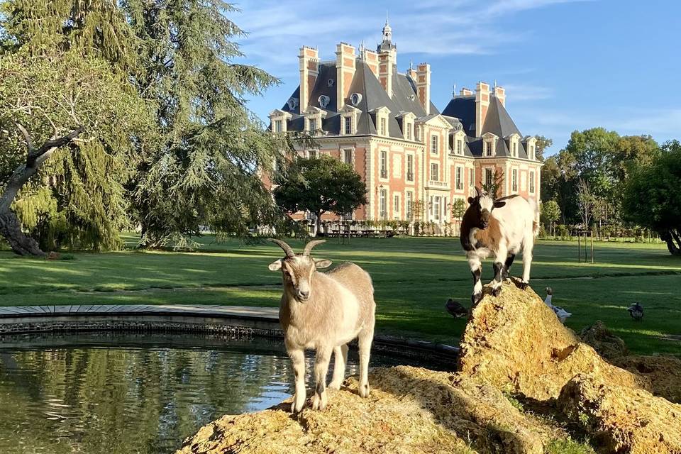 Le Château de Nainville-Les-Roches