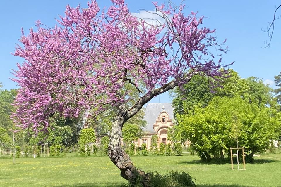 Le Château de Nainville-Les-Roches