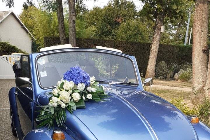 1972 Coccinelle