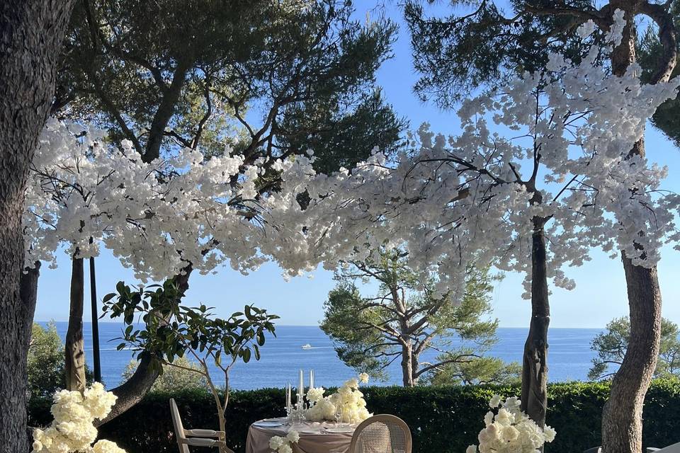Elopement Piano