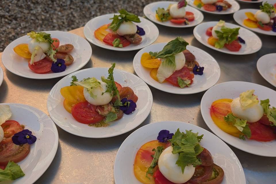Entrée fraîcheur tomates burra