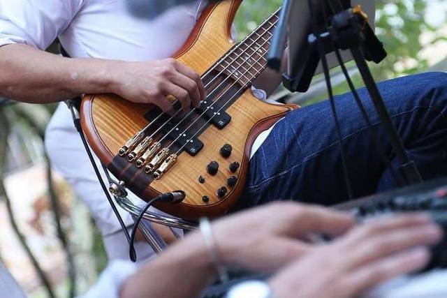 Bassiste