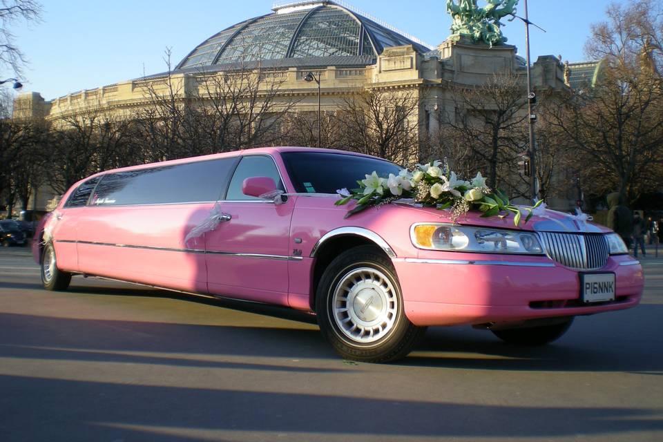 Limousine rose