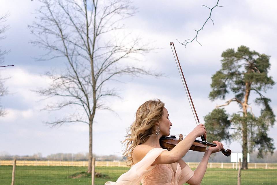 Violoniste pour la cérémonie