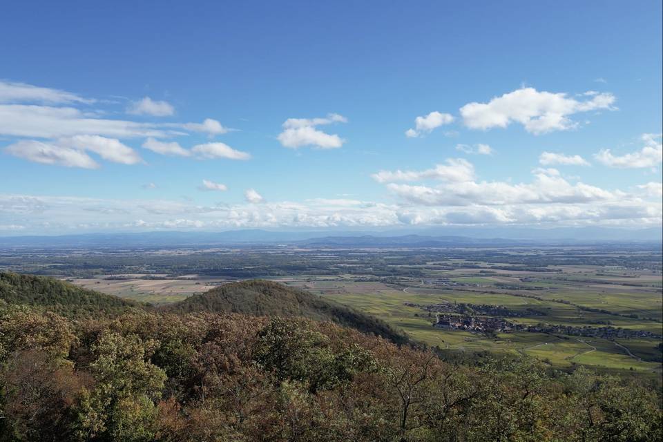 Vue chambre sur l'Alsace