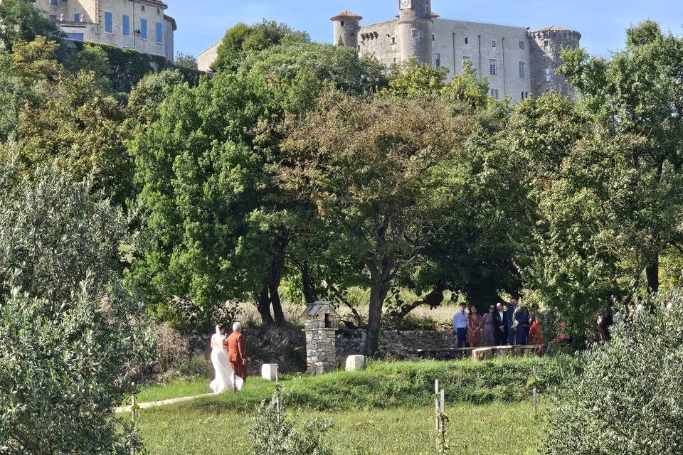 Vu sur le château