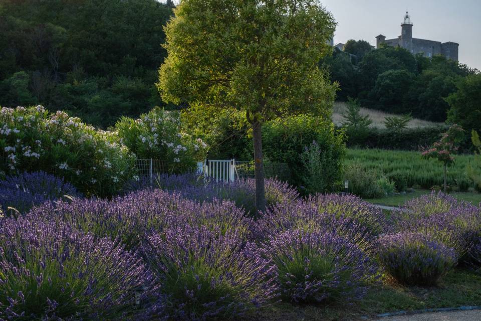 Les jardins, le château