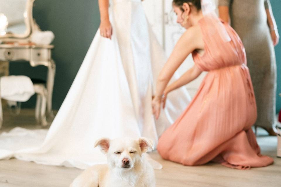 Suite nuptiale
