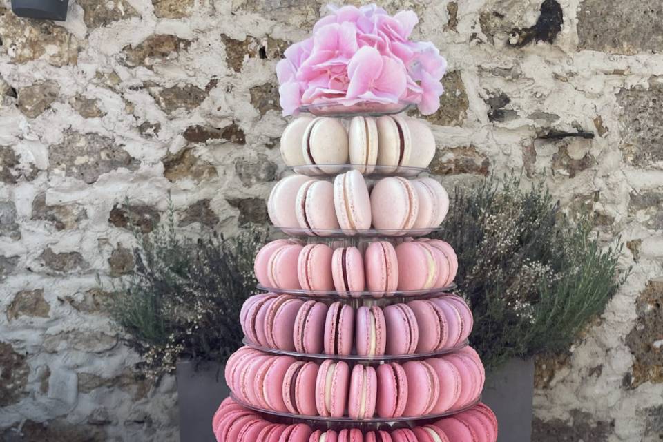 Tartes et Macarons